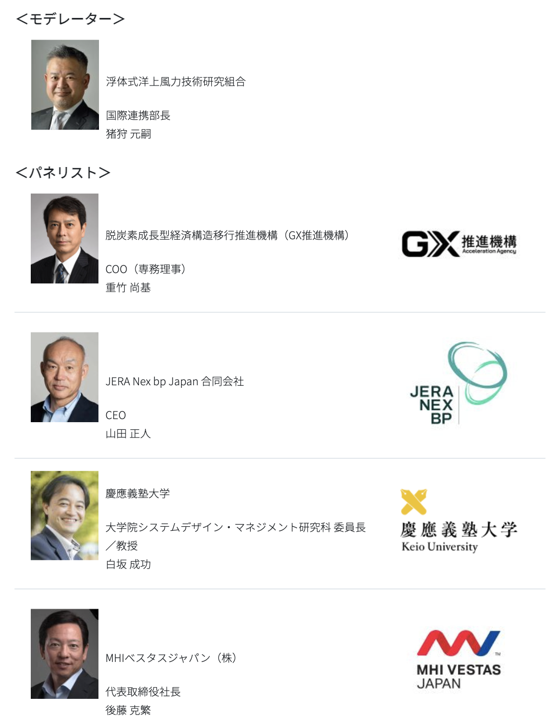 セミナー登壇者:日本成長戦略本部の掲げる戦略分野から読み解く洋上風力発電産業の可能性