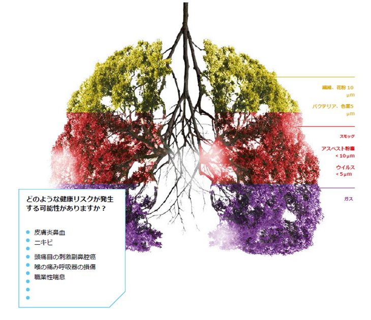 ZeroSmog Guard が防止する健康リスク