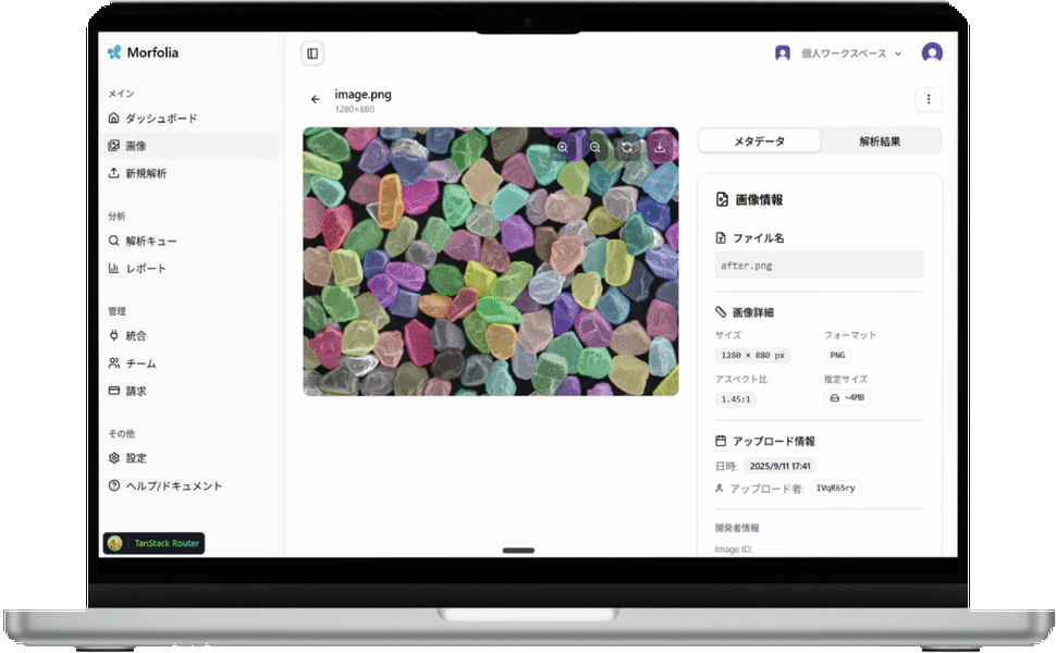 高機能素材Week大阪2026 マテリアルDX展 出展製品 株式会社リード Morfolia｜顕微鏡画像解析システム