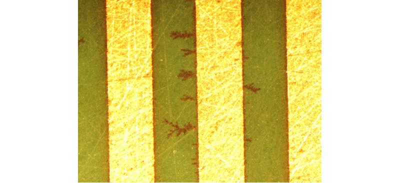 図-4 デンドライトの様子